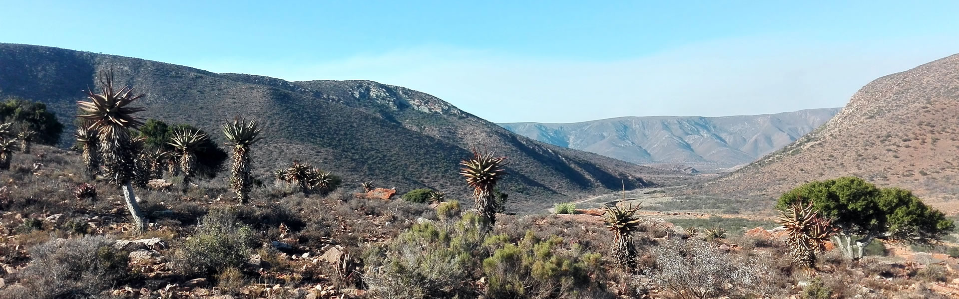 Typical Marlu Guest Farm Landscape