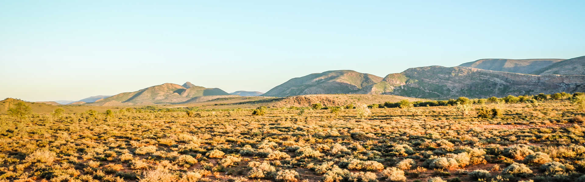 Karoo Plains to explore at Marlu