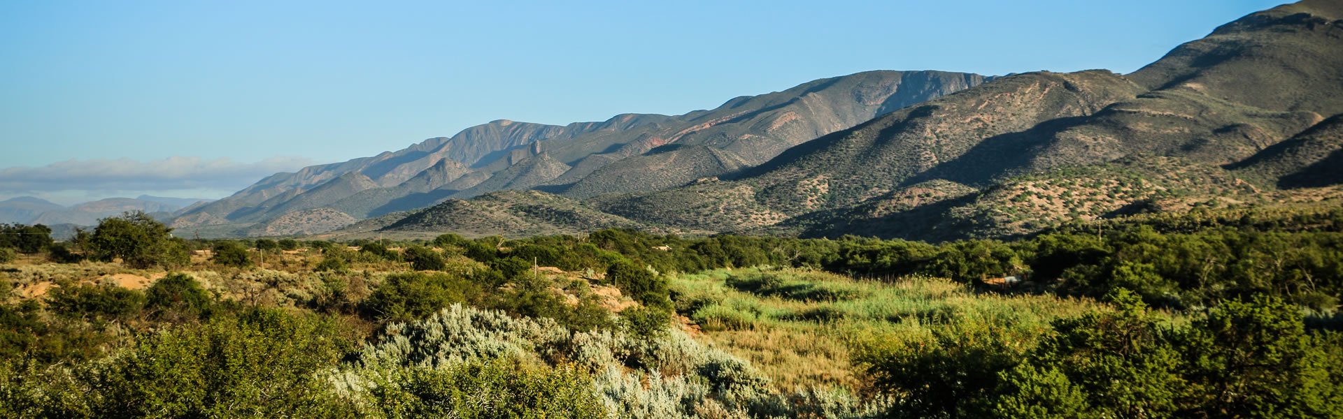 The Grootrivier Valley - bird watcher's paradise