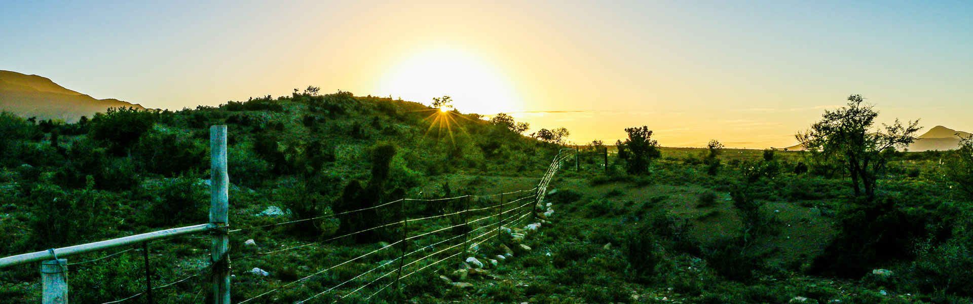 Early morning rays of sunlight lit up the fence - Marlu offers photographers numerous opportunities